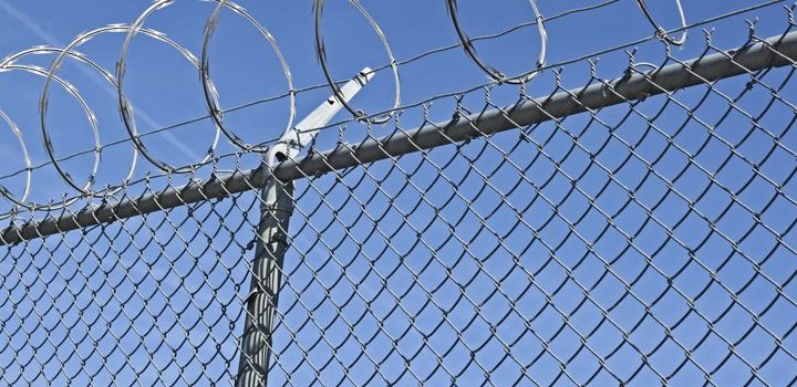 mesh-fencing-14-720x350